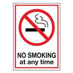 No Smoking at Any Time - Decal